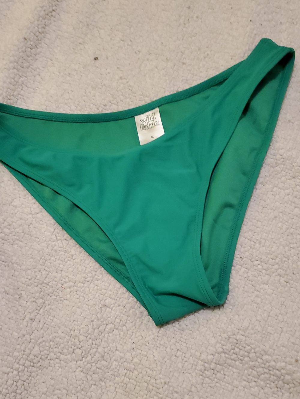 wild fable Teal-Green Bikini Brief